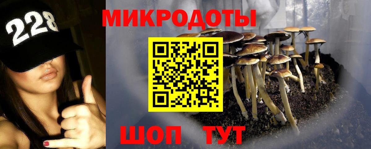 Новокуйбышевск  Галлюциногенные грибы MAGIC MUSHROOMS  Вход с VPN  Галлюциногенные грибы MAGIC MUSHROOMS 